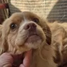 IMG 0774 e1747657497814.webp