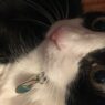 IMG 7947 rotated e1579975032928