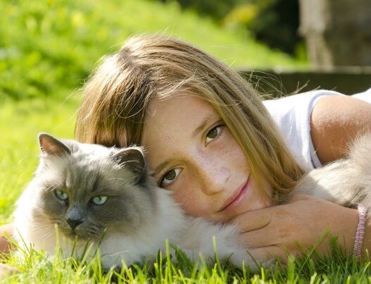 Kids Ragdolls