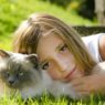 Kids Ragdolls