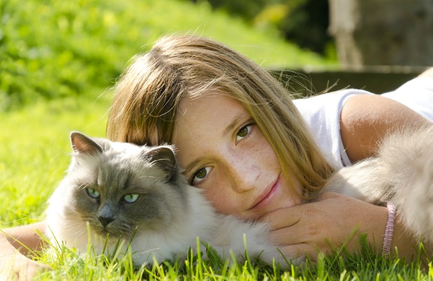 Kids Ragdolls