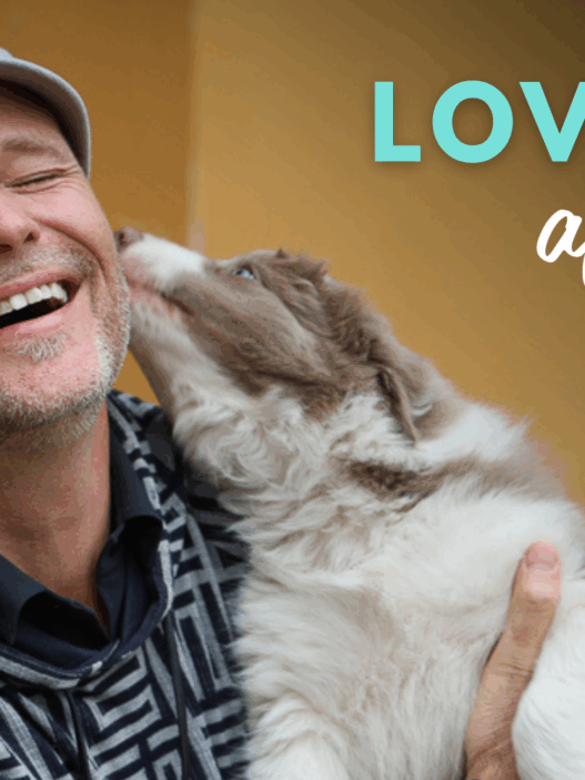 Love after loss 1 8abd0e47 ed78 4944 a7cf 26cff5eca0de