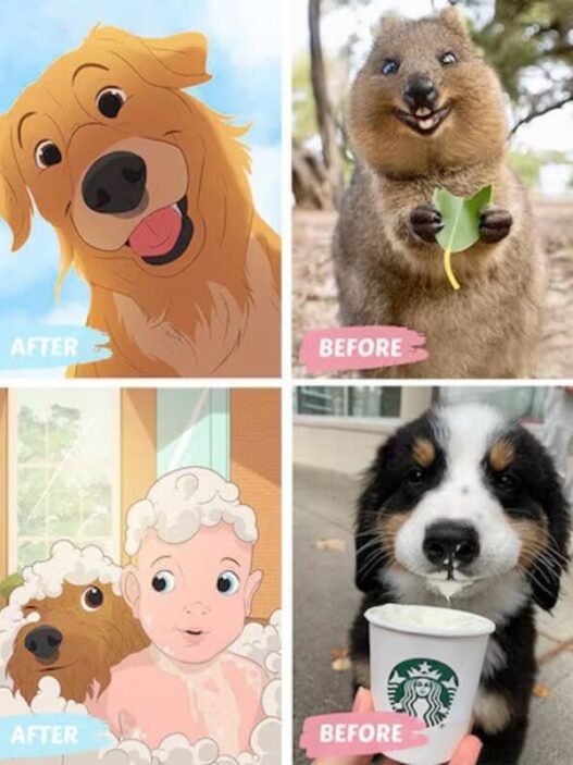 Magic of Pet Creations Art