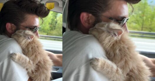 Man with adopted cat