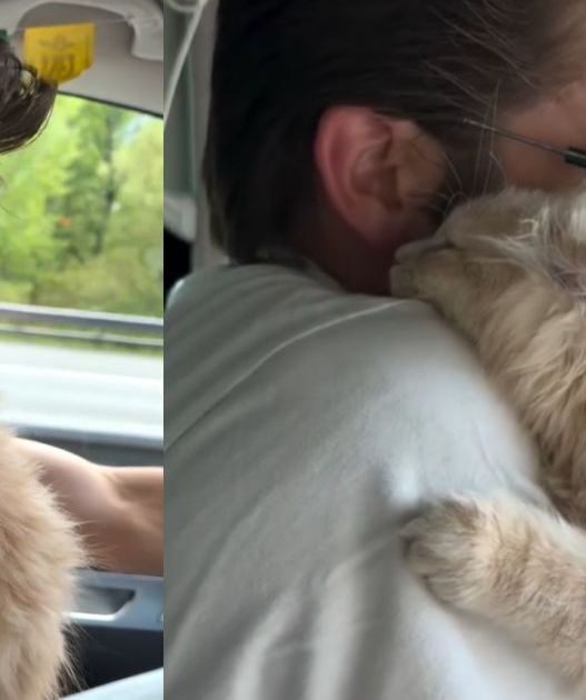 Man with adopted cat
