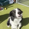 Odin 2 scaled.webp