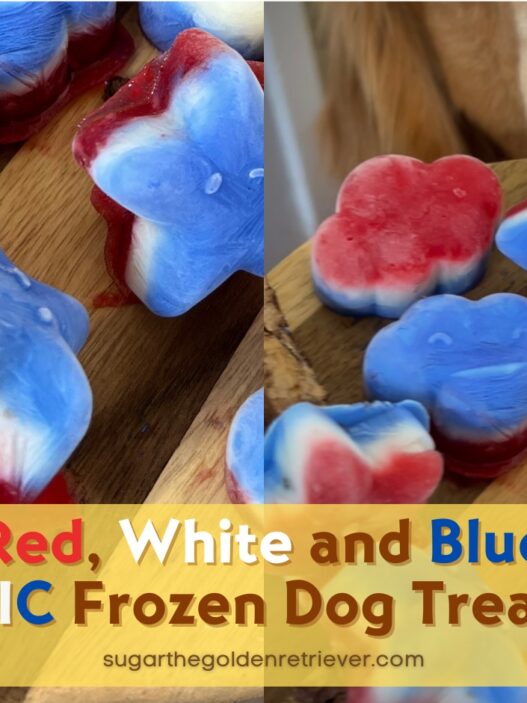 Patriotic Frozen Dog Treats Red White Blue
