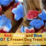 Patriotic Frozen Dog Treats Red White Blue