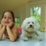 Shih Tzu1 745f64cb 074f 4cb8 ad3e 18c30fcdcbad