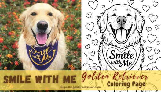 Smile With Me Golden Retriever Coloring Page Brightens Your Day