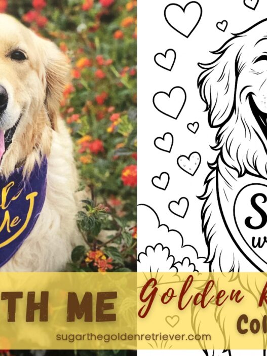 Smile With Me Golden Retriever Coloring Page Brightens Your Day