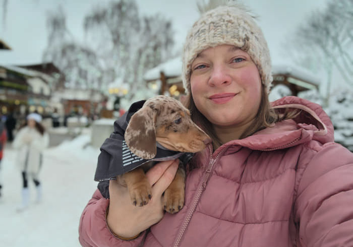 Socialize Unvaccinated Puppy Feature