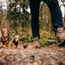 TailsnTrails Pet Photo Featured
