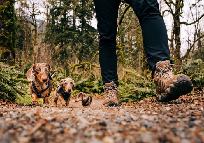 TailsnTrails Pet Photo Featured