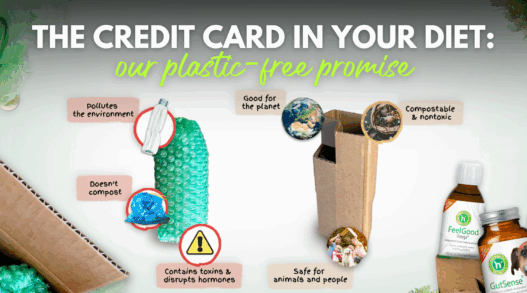The Credit Card in Your Diet Microplastics Pet Health and Our Plastic Free Promise