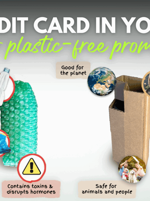 The Credit Card in Your Diet Microplastics Pet Health and Our Plastic Free Promise
