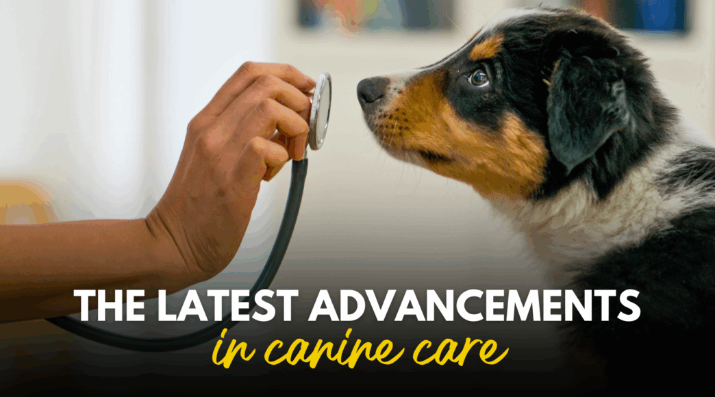The latest advencements in canine care 1