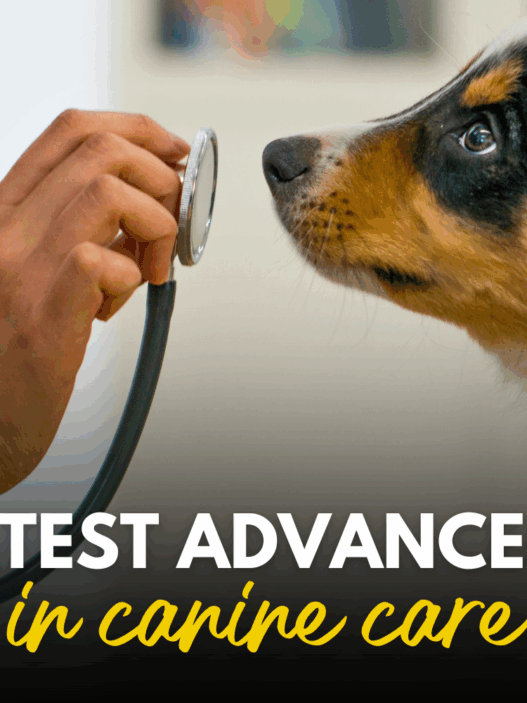The latest advencements in canine care 1