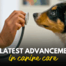 The latest advencements in canine care 1