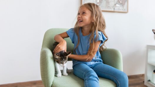 Top5 Essentials for happy cat bailey blog