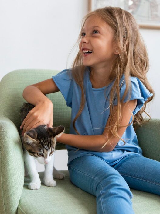 Top5 Essentials for happy cat bailey blog