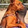 VideoCapture 20250525 201205 scaled.webp
