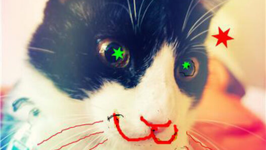 XMAS LOULOU