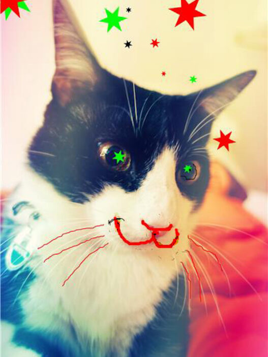 XMAS LOULOU