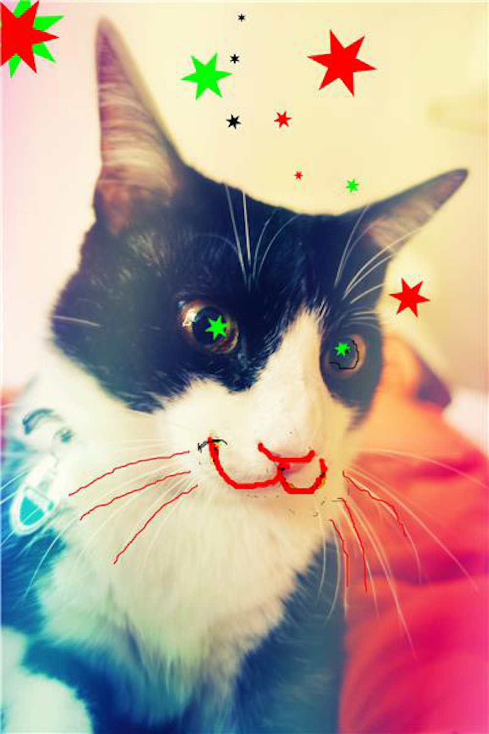 XMAS LOULOU