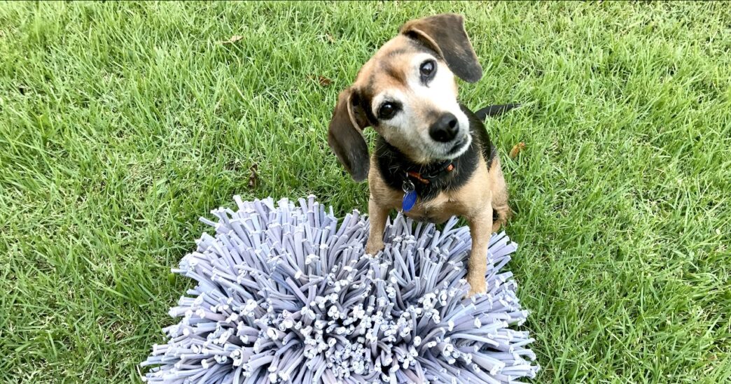 Zani snuffle mat