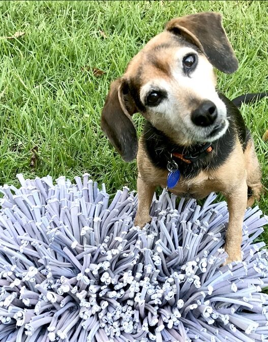 Zani snuffle mat