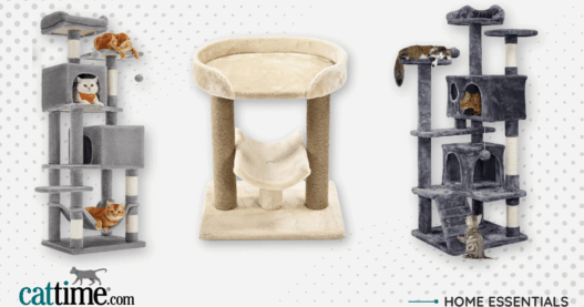 best cat trees