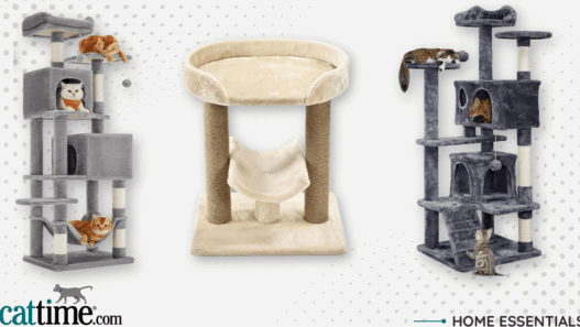 best cat trees