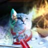 cat veterinary medicine 182825
