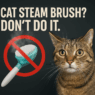 cat steam brush nope 196e8c09 e4c7 4e0b af47 4ddfd903d6a9 891186