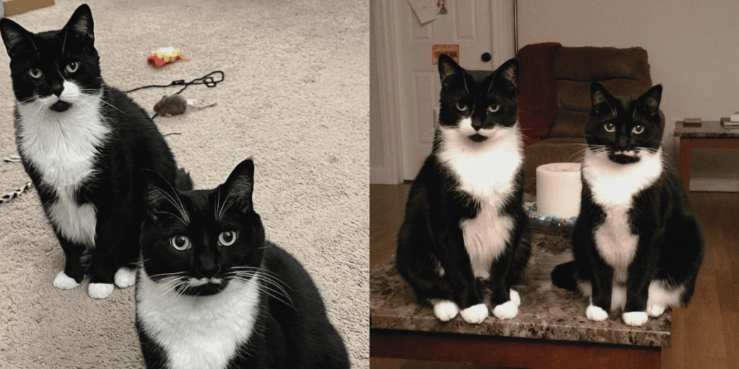 chance and kismet