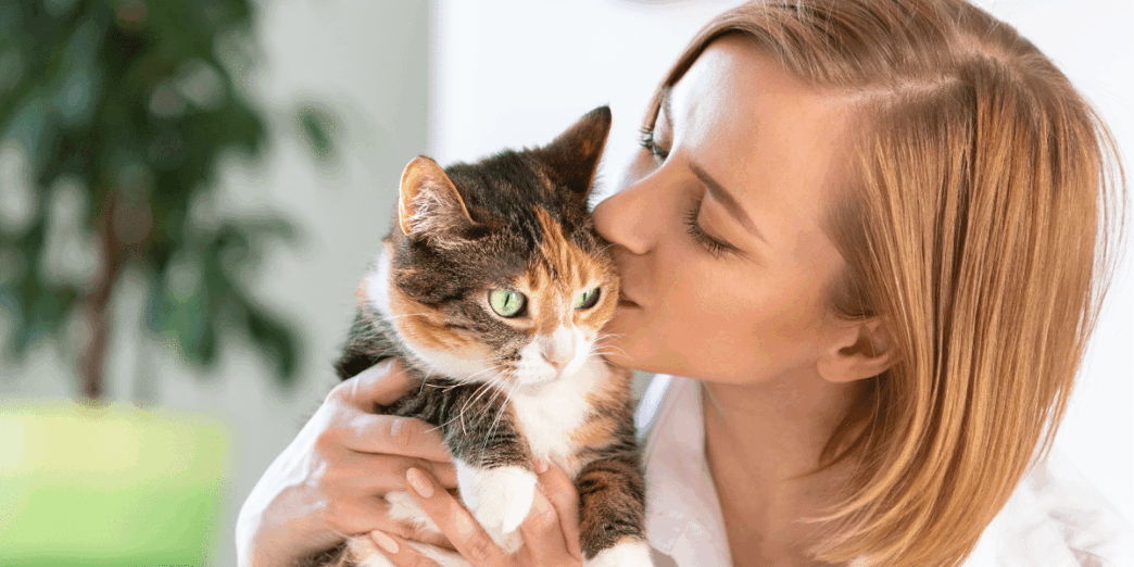 do cats like kisses