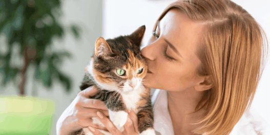 do cats like kisses