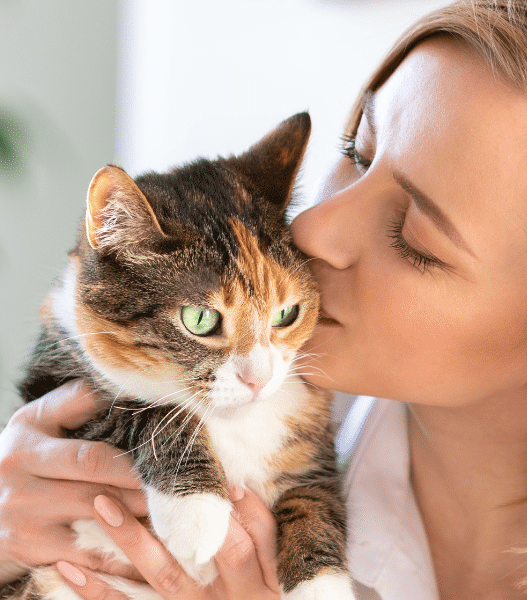 do cats like kisses