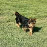 doug5.webp