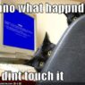 funny pictures cats computer blue screen death