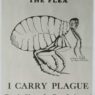 know your flea1