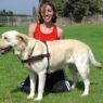 lab dogs 175fd47b 5c52 41a0 a001 5ef21b17ce98