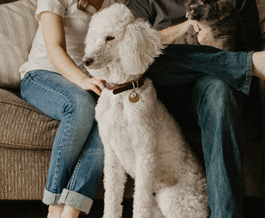 sarandy westfall 666700 unsplash