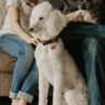 sarandy westfall 666700 unsplash