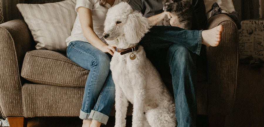 sarandy westfall 666700 unsplash