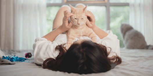 ways cats are good for your mental health
