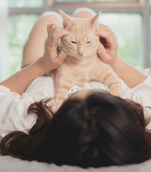 ways cats are good for your mental health