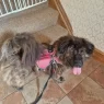 1000020401 scaled.webp