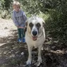 1000046097.webp